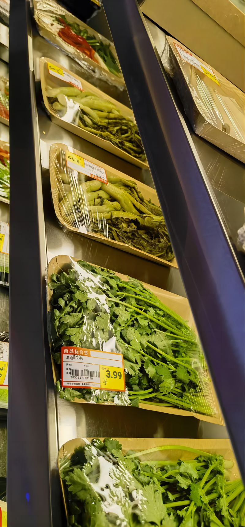 1722049812718255.jpg 33334(1).jpg